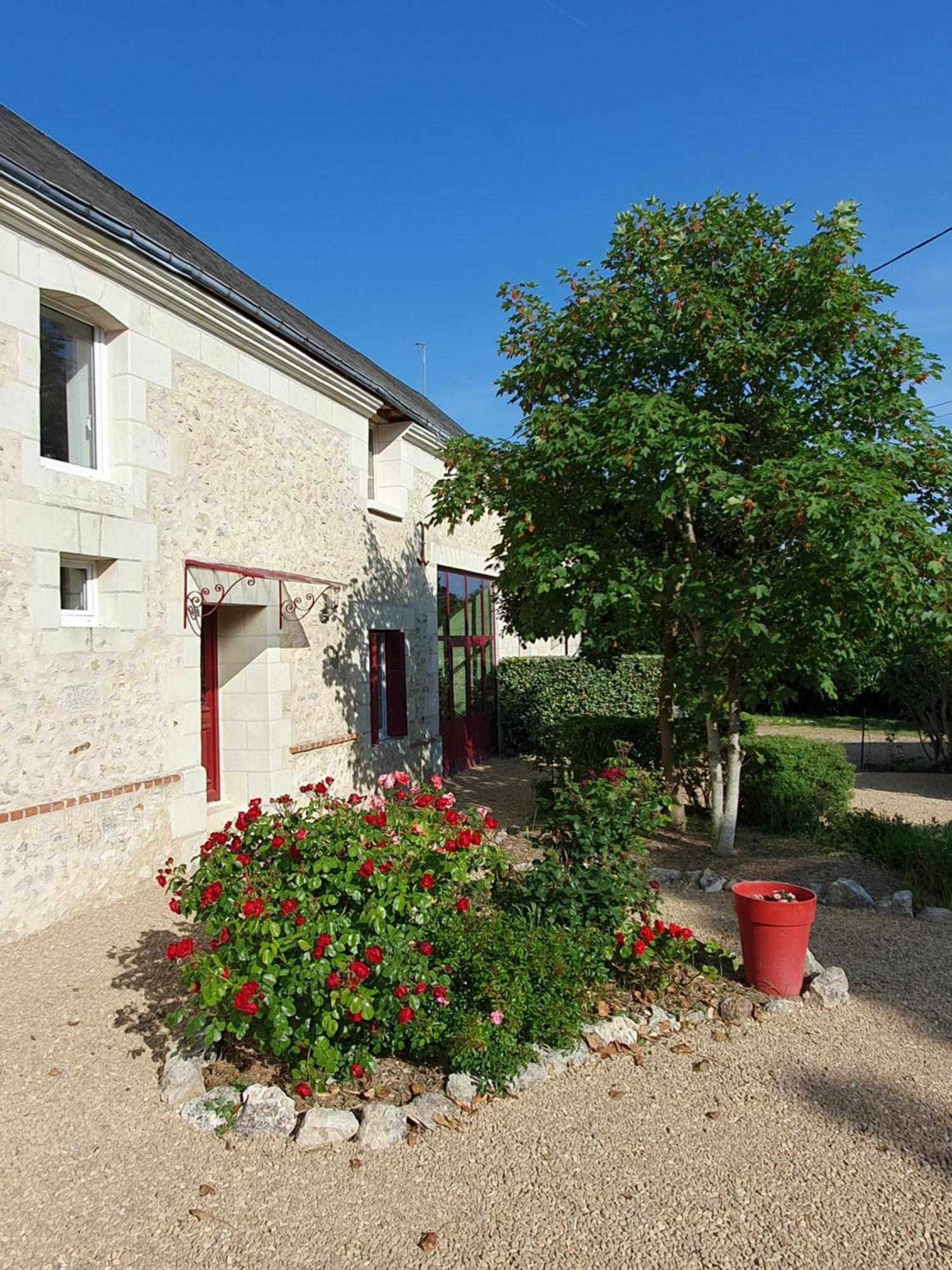 Au Domaine Du Bois Joubert Bed & Breakfast Luzillé Exterior foto